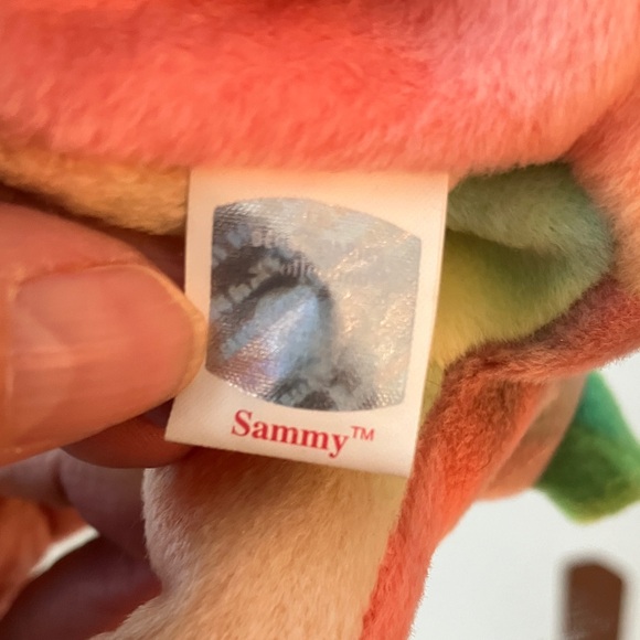VINTAGE TY SAMMY BEANIE BABIES Bear  1999 PE JUNE 21 1998 - Picture 7 of 12